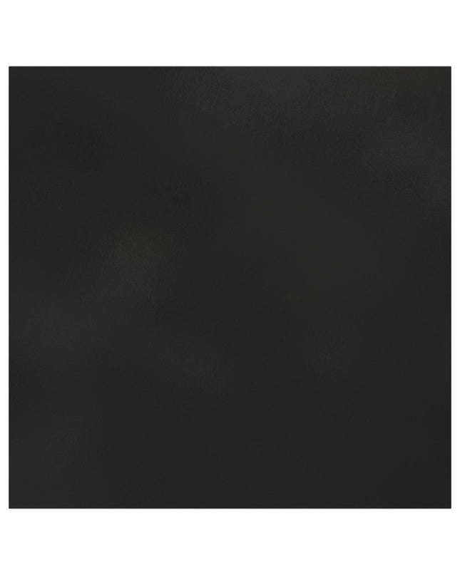 Car Magnet- Ghost Cat Polaroid pic